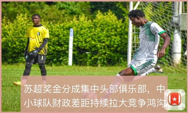 苏超奖金分成集中头部俱乐部，中小球队财政差距持续拉大竞争鸿沟